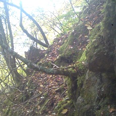 141004_p04.jpg