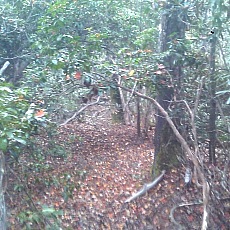 141004_p13.jpg