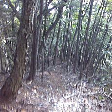 150920-01_p09.jpg