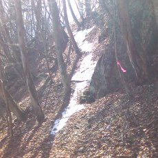 160329_p12.jpg