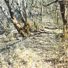 160419-02_p17.jpg
