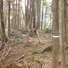 160506-02_p14.jpg