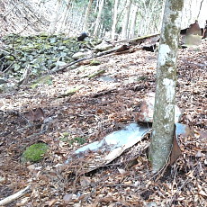 170304_p09.jpg