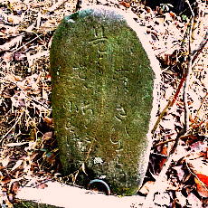 170304_p10.jpg