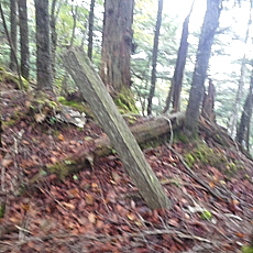 170924_p06.jpg