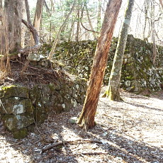 190505_p21.jpg