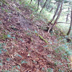 201004_p17.jpg