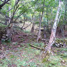 201004_p40.jpg