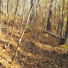 201206_p09.jpg
