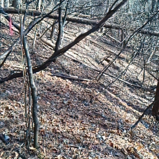 201206_p69.jpg