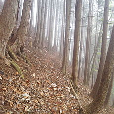 210515_p22.jpg
