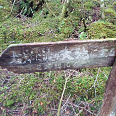 210916_p19.jpg