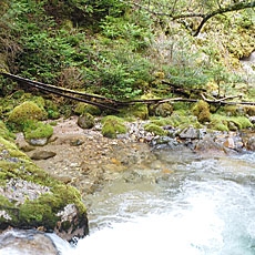 210916_p21.jpg