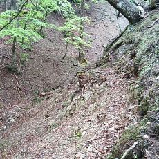 220515_p18.jpg