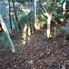 221028_p37.jpg