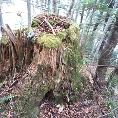 221028_p41.jpg