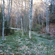 221028_p48.jpg