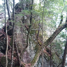 230520_p13.jpg
