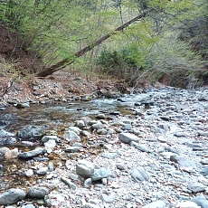 230502_p30.jpg