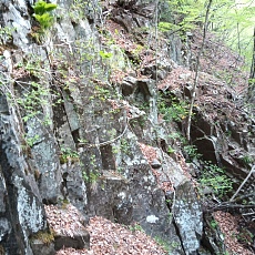 230502_p23.jpg