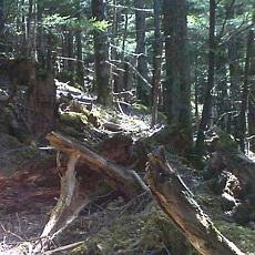 130517_p29.jpg