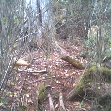 141004_p26.jpg