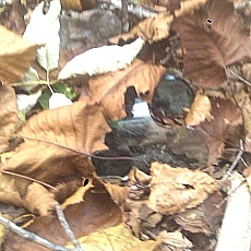 141011_p25.jpg