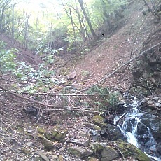 141020_p05.jpg