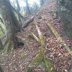 141020_p26.jpg