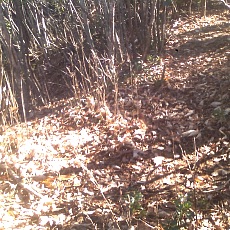 141103_p06.jpg