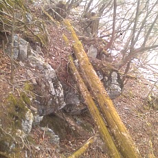 141210_p10.jpg