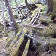 150522_p20.jpg