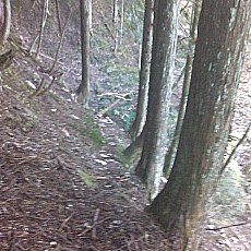 151103_p16.jpg