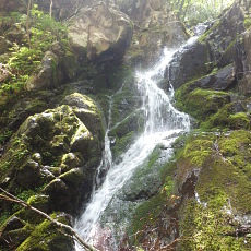 190614_p10.jpg