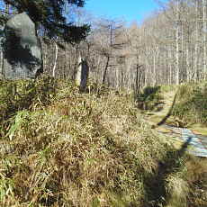 201117_p37.jpg