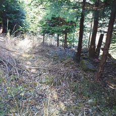201206_p57.jpg
