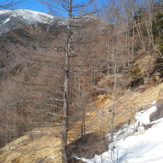 210315_p30.jpg