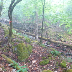 210515_p24.jpg
