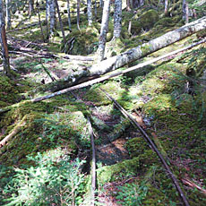 210916_p27.jpg