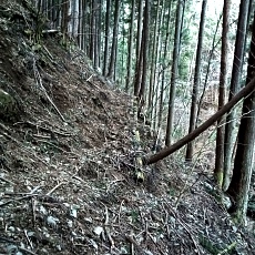 230304_p01.JPG