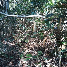 221028_p06.jpg