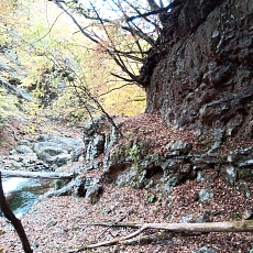 231030_p40.jpg