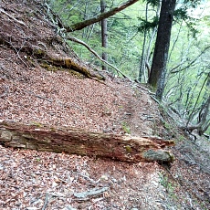 230502_p14.jpg