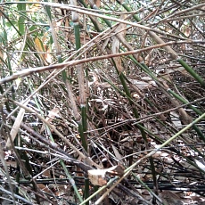 241022_p16.jpg