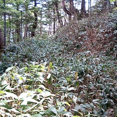 240612_p43.jpg