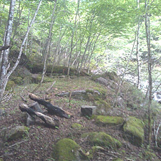 110615_p05.jpg