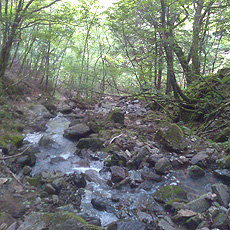 120630_p04.jpg