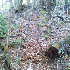 130526_p06.jpg
