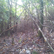 131006_p08.jpg