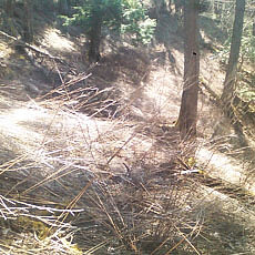 140427_p13.jpg